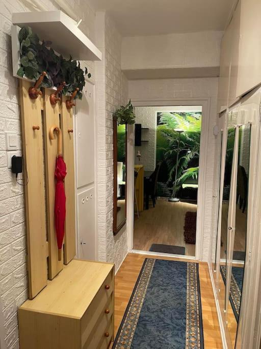 Apartment Vacigreen