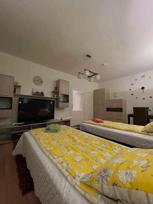 Apartment Vacigreen