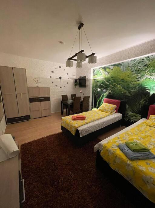 Apartment Vacigreen